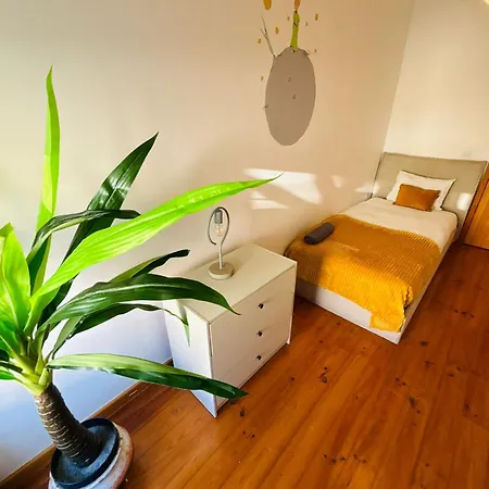 Hostel And Spacious In Lisbon, Ideal For Tourists Lisbon